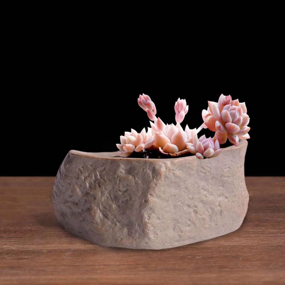 Ceramic Succulent Plant Pots S - Aloe Vera Pot 评论和价格