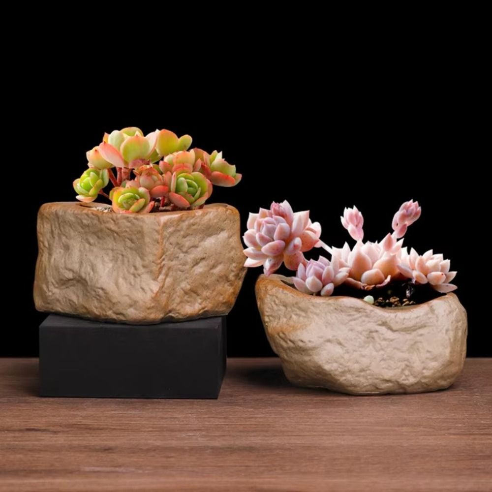 Ceramic Succulent Plant Pots S - Aloe Vera Pot 评论和价格