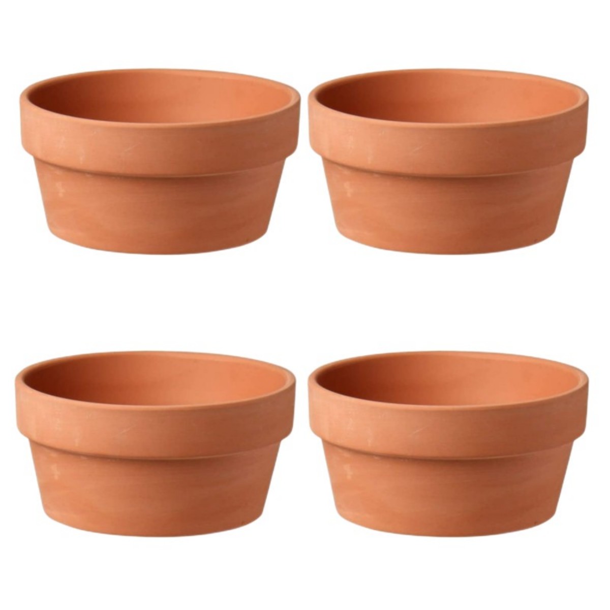 6 PCS Terracotta Buld Pots 3.5 - Aloe Vera Pot 评论和价格