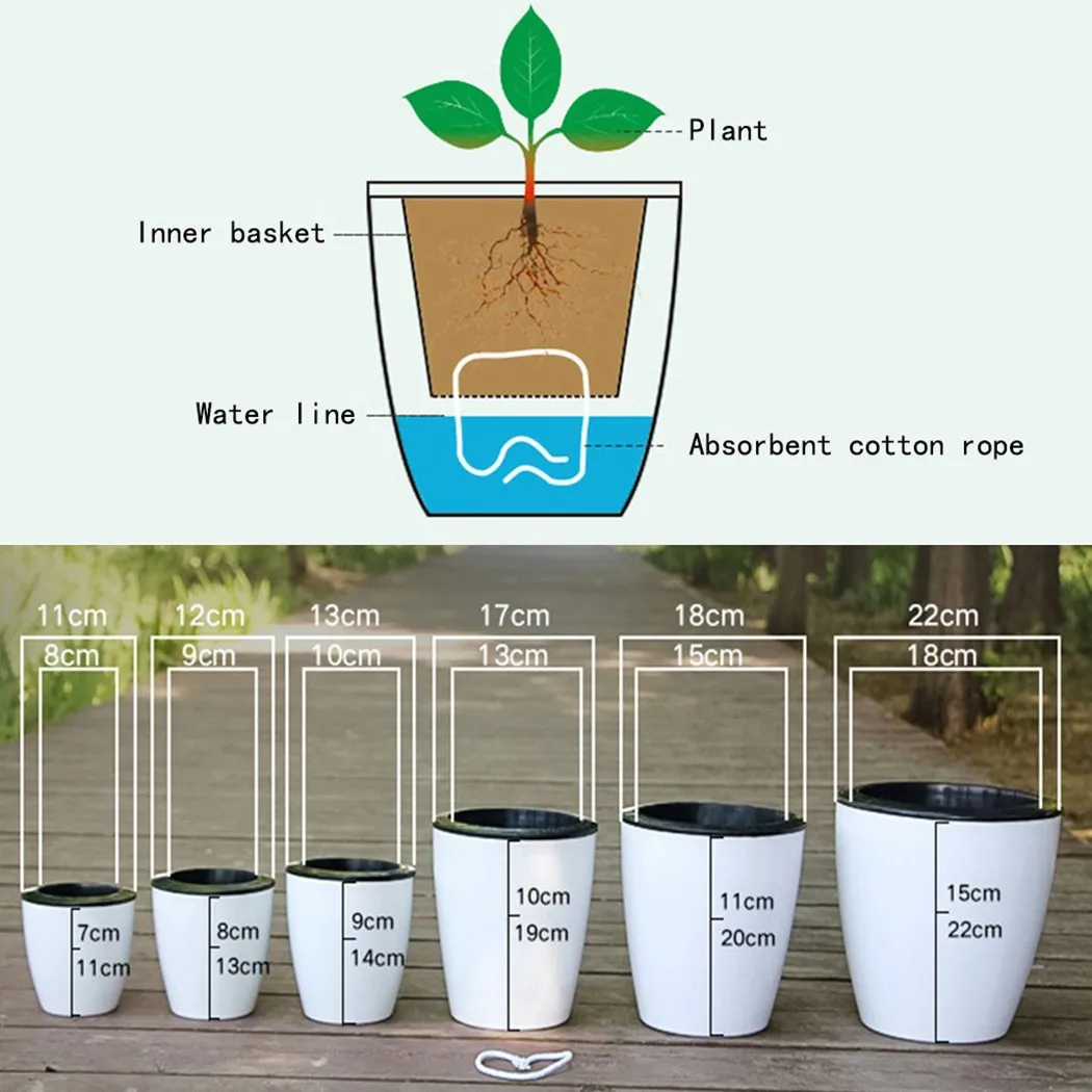 Lazy Flower Pot Self-Watering  - Aloe Vera Pot 评论和价格