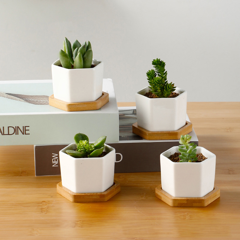 Ceramic Flowerpot White Hexago - Aloe Vera Pot 评论和价格