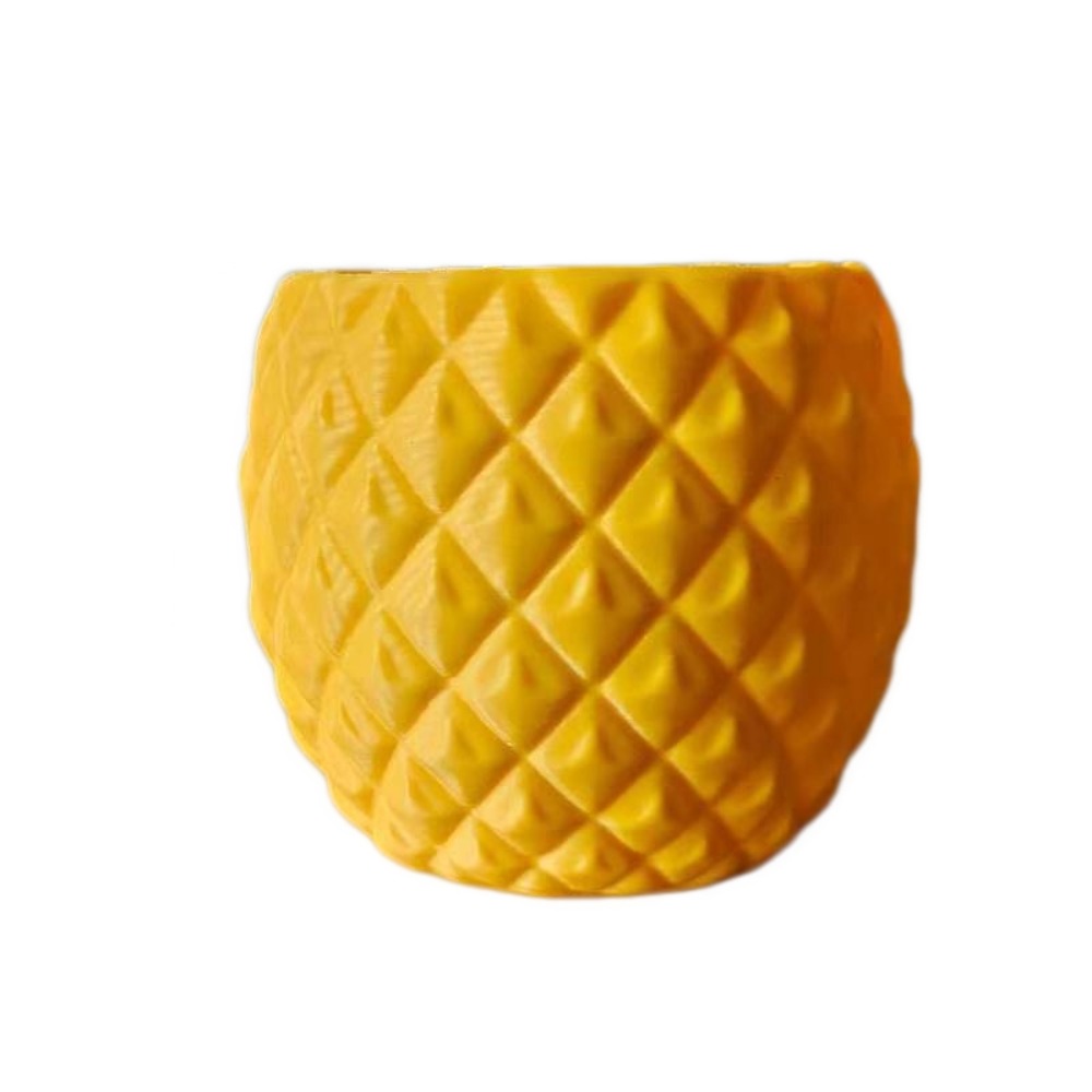 Plastic Fruit Flower Pot 3D Pr - Echeveria Succulent 评论和价格