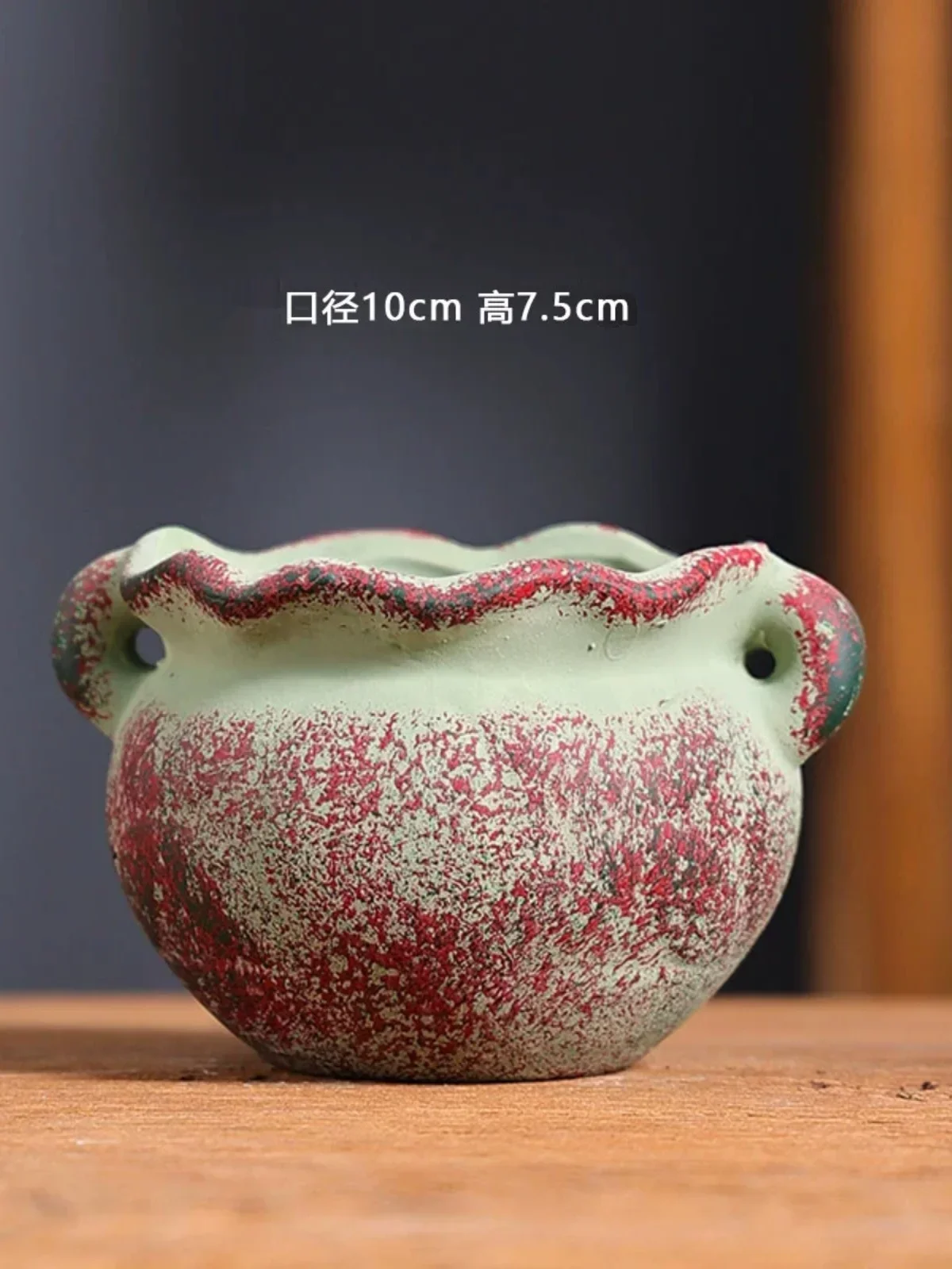 Mediterranean Succulent Flower - Aloe Vera Pot 评论和价格