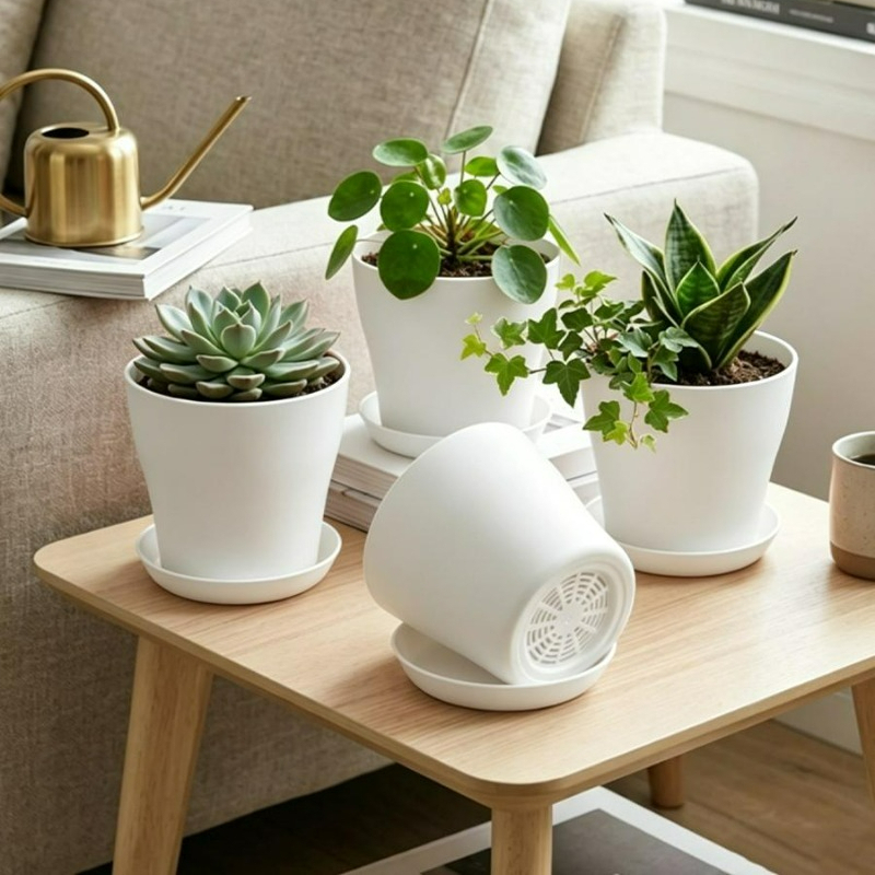 Plant Pot Set with Drainage Ho - Echeveria Succulent 评论和价格