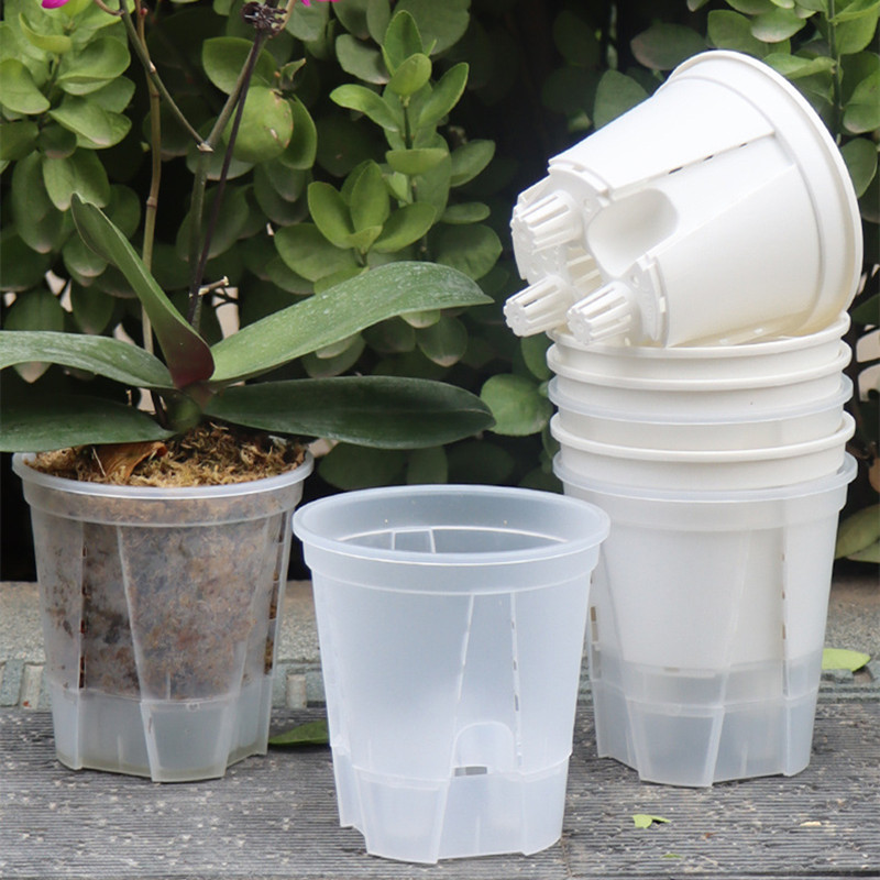 5pcs Transparent Orchid Pot wi - Aloe Vera Pot 评论和价格