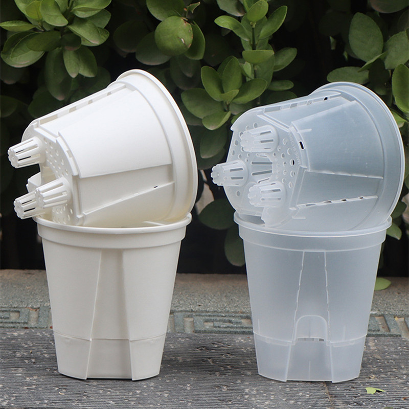 5pcs Transparent Orchid Pot wi - Aloe Vera Pot 评论和价格