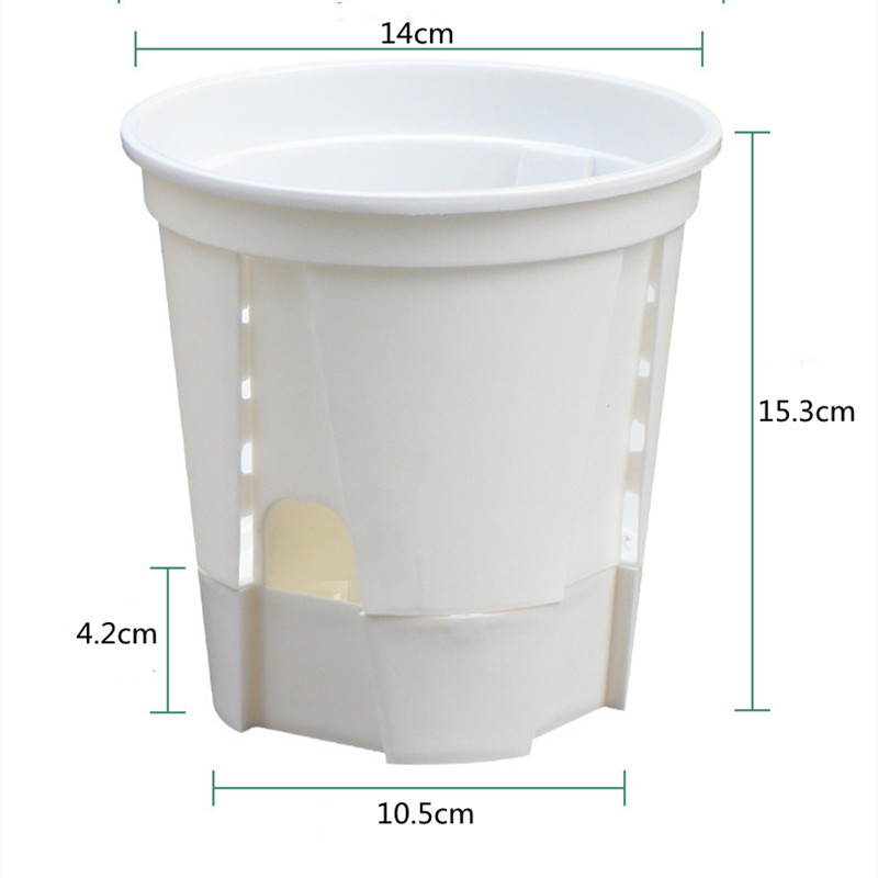 5pcs Transparent Orchid Pot wi - Aloe Vera Pot 评论和价格